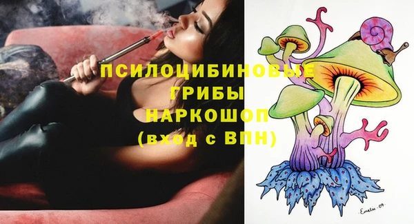 индика Абинск