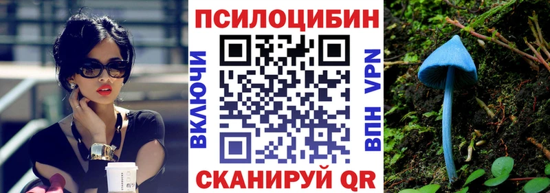 Галлюциногенные грибы Psilocybe Нолинск