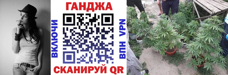 Марихуана конопля  Нолинск 